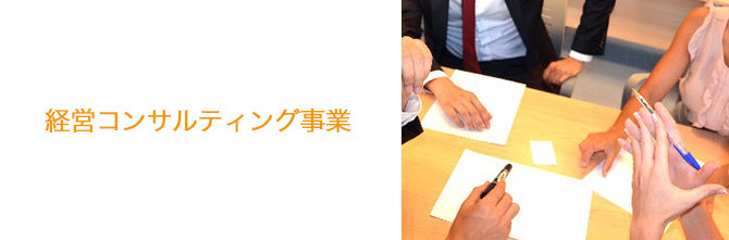 経営コンサルティング事業