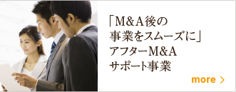 M＆A後の事業をスムーズに アフターM＆Aサポート事業
