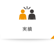 実績